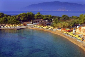 alonissos beaches casa nina marpounta